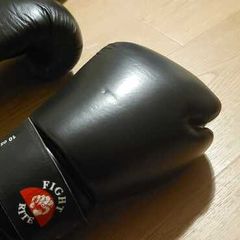 MuayThai Boxing Gloves