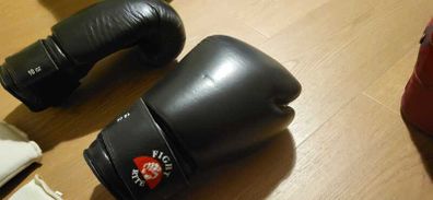 MuayThai Boxing Gloves