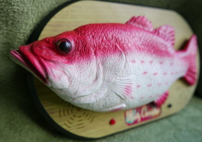 Rock King Tommy the xmas singing fish