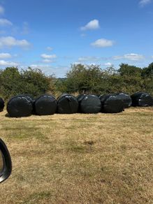 Top quality silage