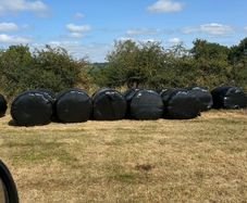 Top quality silage