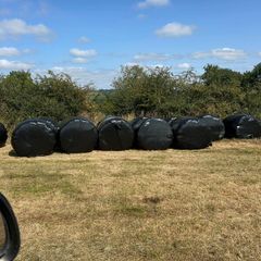 Top quality silage