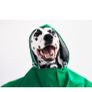 dog coat Image 3