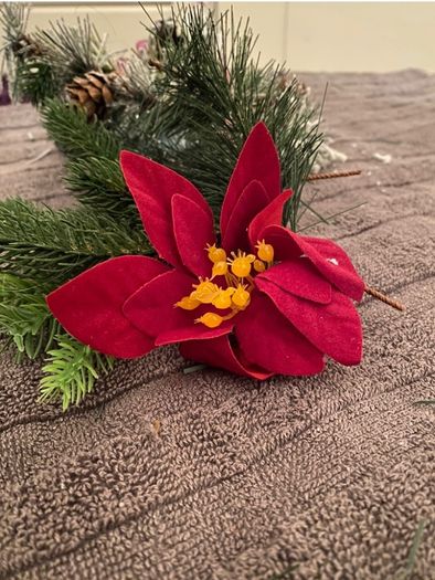 Christmas selection for decorations or artwork