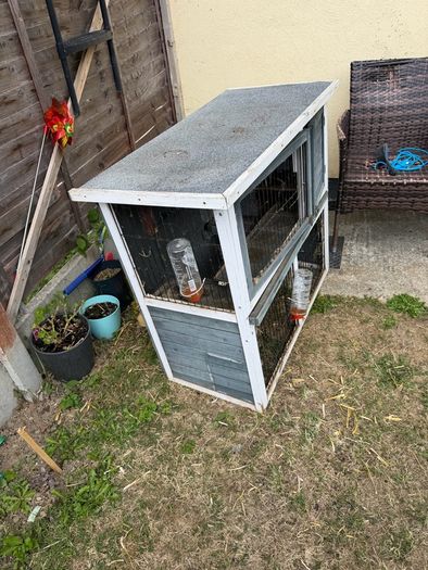 rabit cage