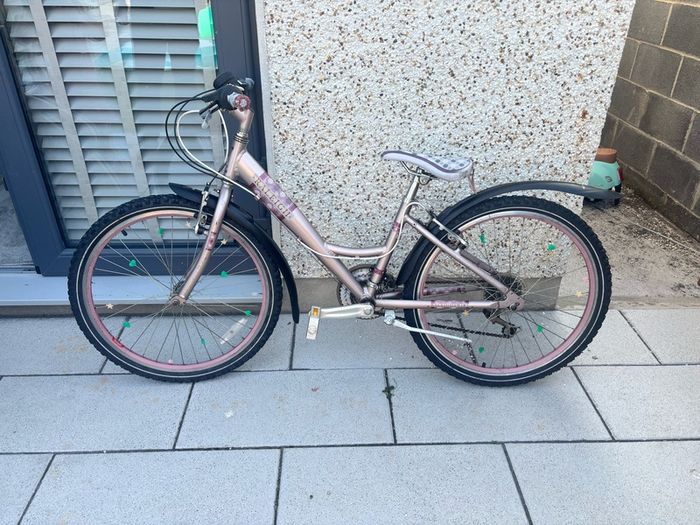 Girls Raleigh Bike