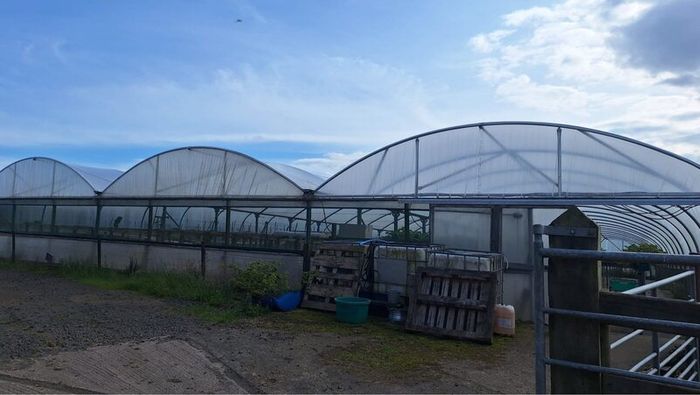 Polytunnel