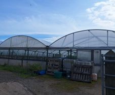 Polytunnels