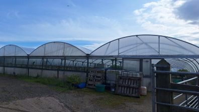 Polytunnels