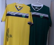 Naft Al-Wasat Away & Third Jersey 20-21 (XL)