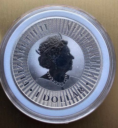 Silver 1 oz coins