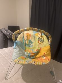Baby bouncer