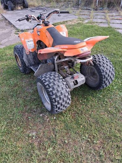 Palaris Quad