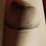 Glendalough, A Celtic Pilgrimage/ Michael Rodgers & Marcus Losack/ 1996/ 1st ed. Image 6