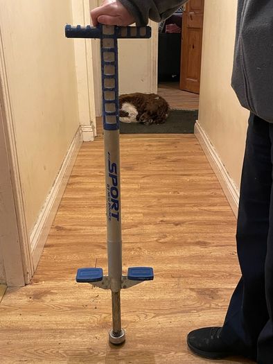 Pogo stick
