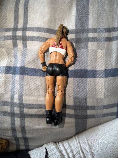 wwe figure