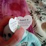 Ty Beanie Baby Image 5