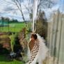 Memorial "I will hold You in My Heart Till I Hold You in Heaven " Angel Wing Freepost Hand Crafted Image 4