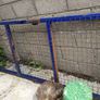 Steel mesh gate - heavy duty Image 6