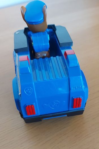 Paw Patrol Case