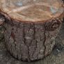 log stools x 5 Image 4