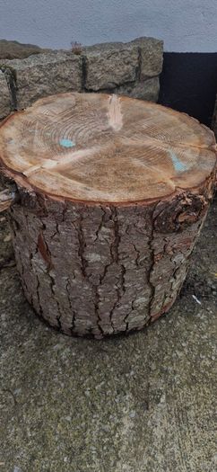 log stools x 5