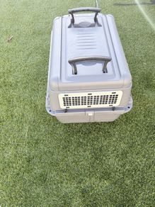 Dog carrier/crate