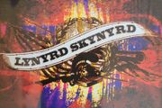 Lynyrd Skynyrd - The Collection.