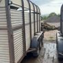 Hamilton cattle trailer Image 9