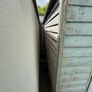 shed Image 4