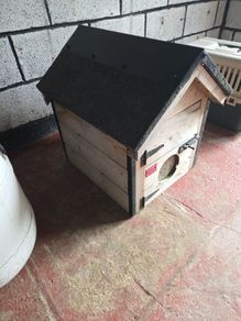 dog house