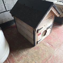 dog house