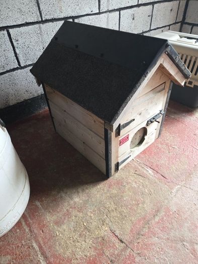 dog house