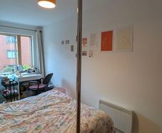 Xpert X-pole static/spinning