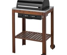 Charcoal grill bbq