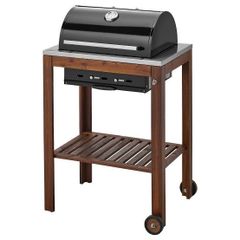 Charcoal grill bbq