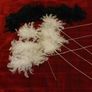 feathers Image 4