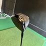 Callaway Quantum TD Max left handed Image 4