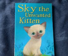 Children's Book