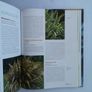 encyclopedia of exotic plants for temperate climates by Will Giles Image 6