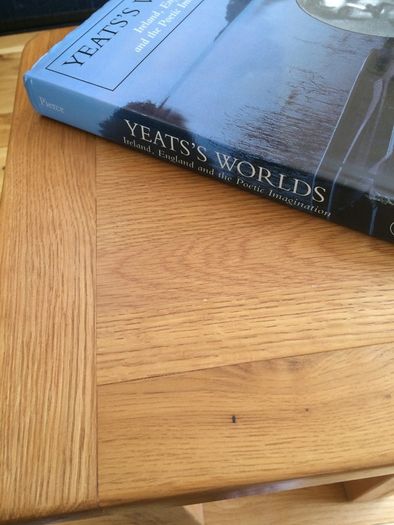 Yeats Worlds