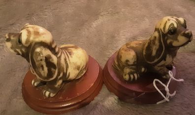two small basset hounds