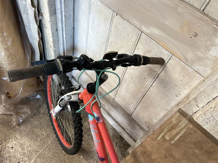 girls Bicycle Apollo Independence