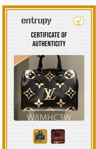 Louis Vuitton Speedy 25 Bandouliere Bicolour Monogram Empreinte (NFID) GH