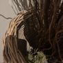 Very tall rattan planter with contorted willow Image 8