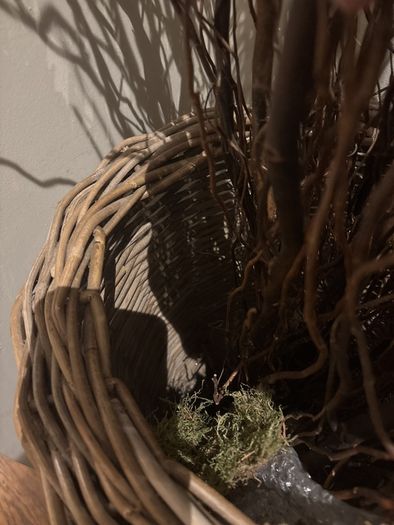 Very tall rattan planter with contorted willow