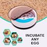 Egg incubator Chicken Incubators for hatching eggs with Automatic Temperature and Humidity Control (9 Eggs) - Chick Brooder - chicken eggs, Duck, Quail eggs, Goose and incubator Box kit (FREE SHIPPING) Image 5