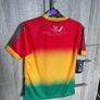 GAA carlow jersey Image 9