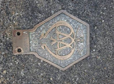 AA Badge