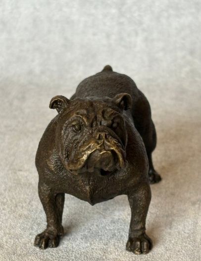 Bulldog - Cold Painted Bronze, Signed